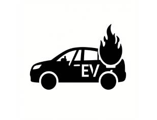 EV FirePro